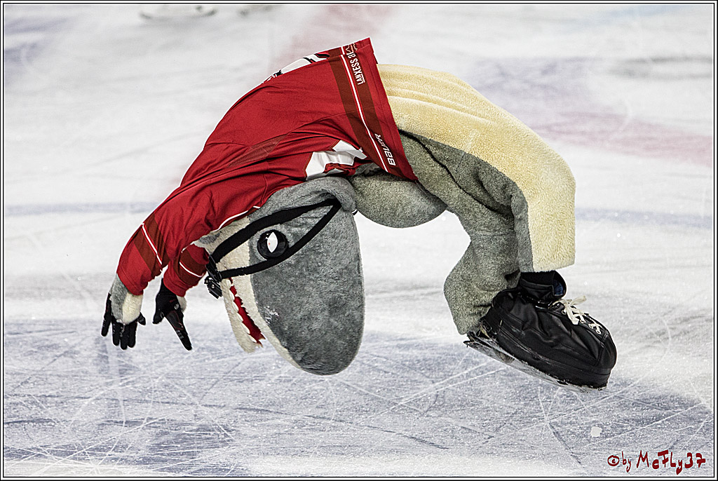 DEL, Koelner Haie - Grizzlys Wolfsburg, 17.03.2017